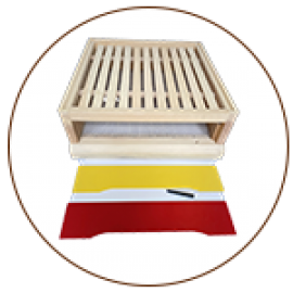 Varroa dna (4)